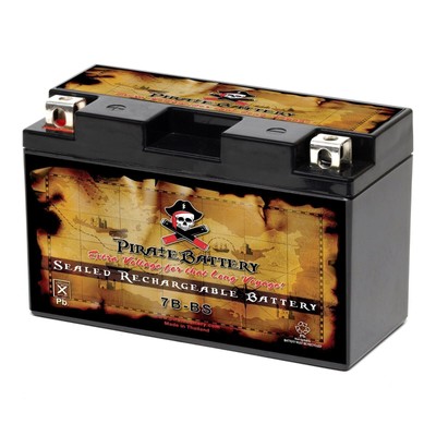 YT7B-BS High Performance - Maintenance Free - Sealed AGM Motorcycle Battery