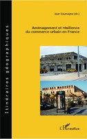 Jean Soumagne | AméNagement Et RéSilience Du Commerce Urbain En France | Buch