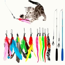 12PCS Kitten Cat Toy Feather Bell 2 Wand 10 Teaser Rod Interactive Play Pet Toys