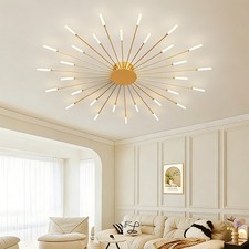 Creative Design Ceiling Light Fireworks Ceiling Light Restaurant Ceiling Lights