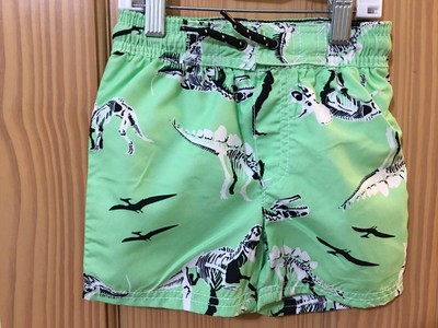 carter's dinosaur swim trunks