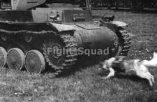 WW2 Picture Photo With 15 Kg TNT Anti-Tank Dog going run to under tank  3901
