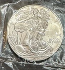 2010 American Eagle Uncirculated Silver Coin- One Ounce of Silver