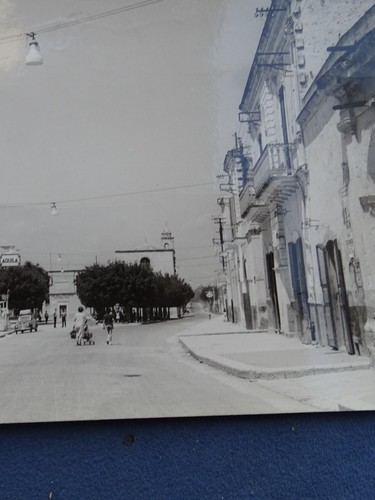 VECCHIA FOTOCARTOLINA-ADELFIA CANNETO-BARI-VIA S.M. DELLA STELLA-VIAGGIATA-1964 - 第 2/3 張圖片