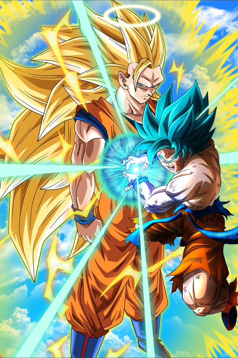 Dragon Ball Z Poster Goku SSJ3 and Vegeta SSJ2 12in x 18in Free Shipping