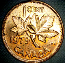  on The Hot Collector