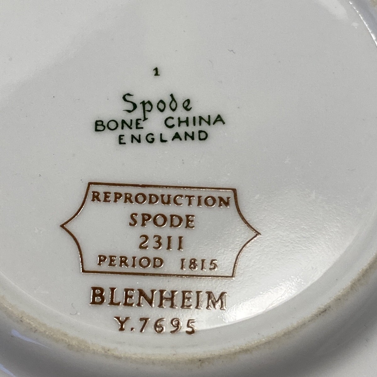 Vintage Spode Blenheim Y7695 Cup and Saucer Bone China