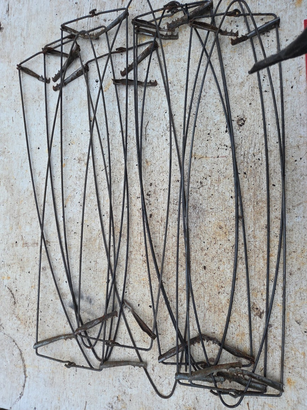 Lot of 12 used 9X40 wire Coon Raccoon  Stretchers trapping Traps Trap Stretcher