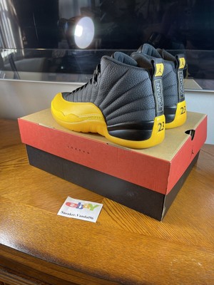 rare jordan 12