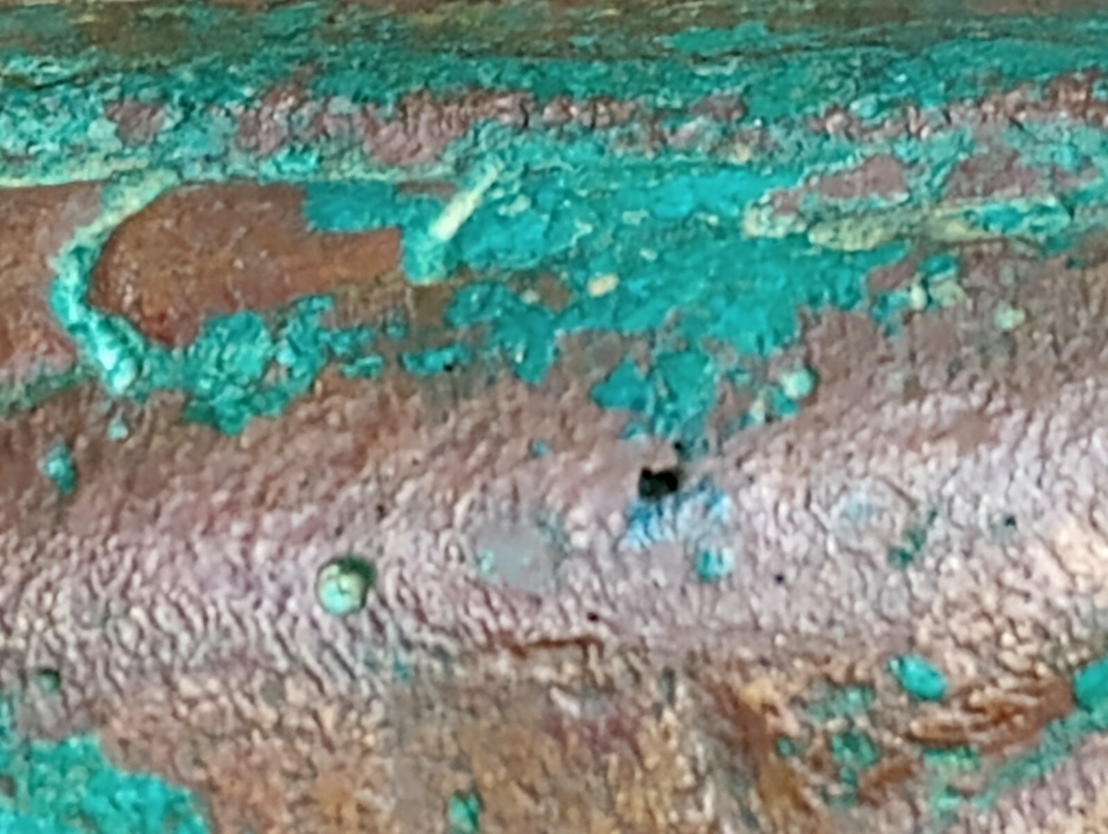 Bild 17 von 24
