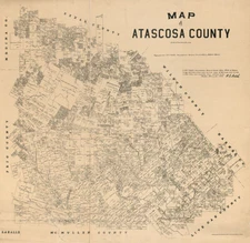 Map of Atascosa County Texas 16x16