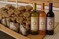 1 Fungaia funghi Pleurotus Cardoncelli + tris di vini pugliesi Eleutheria