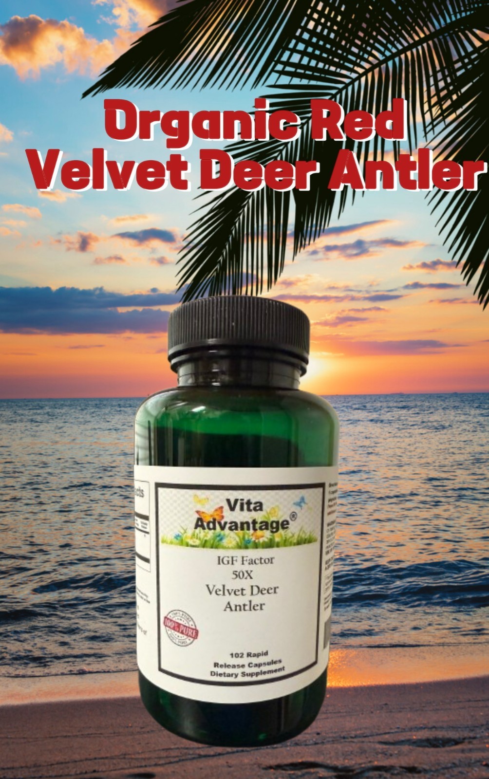50:1 VELVET DEER ANTLER EXTRACT 102 Capsules 50:1 highest potency NO FILLERS!