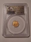 Photo of a 2013 Chinese Gold Panda 1/20 oz from an eBay sale