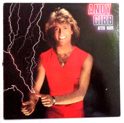 Andy Gibb: After Dark 1980 RSO RS-1-3069 Mike Fuller Criteria PRC Pressing VG+