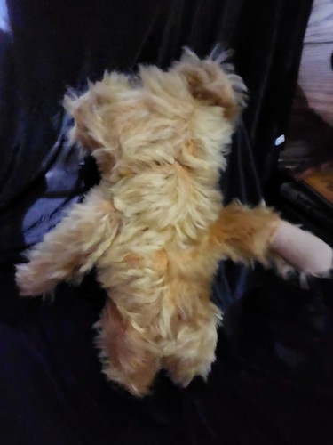 Vintage Mohair Teddy Bear, 11.5" TALL-MOVABLE ARMS, LEGS & HEAD- NO TAG - Picture 3 of 11