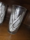 Set of 5 Vintage Jeanette white wheat floral water tumbler — photo 5