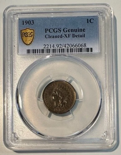 1903 indian head penny PCGS Genuine Cleaned XF Details