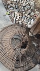 Bild 8 von 24