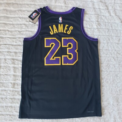 Nike Lebron James Lakers MNK Dri-FIT Swingman City Edition
