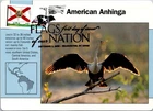 Dr Jim Stamps Maximum Card Florida Flag 42C Flags Of Our Nation Fdc
