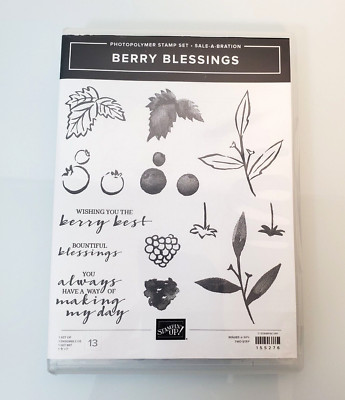 Stampin Up Berry  Blessings 13 Photo Polymer Stamp Set  Snapcase  155276