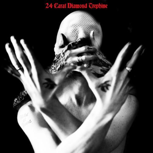 Avalanche Party 24 Carat Diamond Trephine (CD) Album