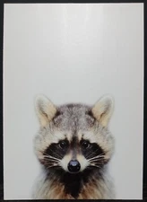 Kate & Laurel Sylvie Raccoon Photograph Canvas Art - Color - 16x20 (read descr.)