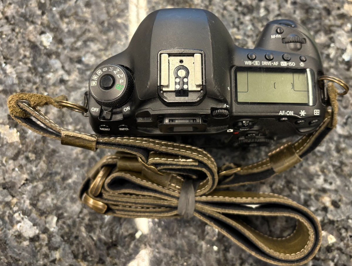 BODY ONLY - Canon EO5 5D Mark IV (DS126601) Camera - ON SALE !! | eBay
