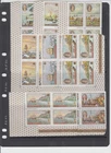 COOK ISLANDS 1968 Cook Bicentenary Set of 8  Blocks of 4 MUH   Cat $16