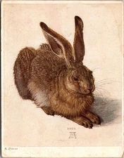 Albrecht Dürer “Young Hare” 1502 Art Postcard Germany Vintage Printed Repro