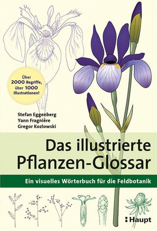 Thumbnail - Das Illustrierte Pflanzen-glossar Stefan Eggenberg