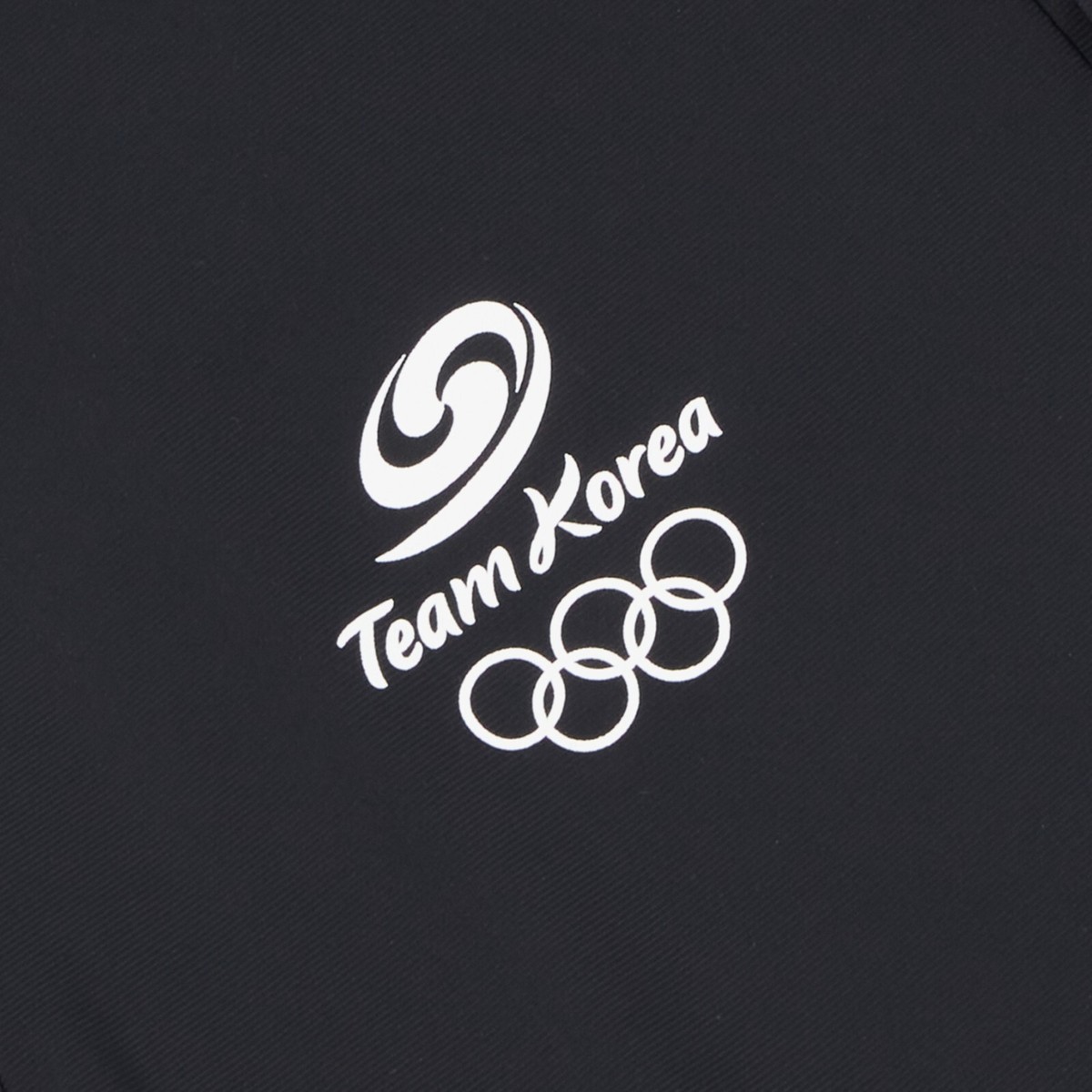 The North Face PO TEAMKOREA ICE DAY POLO/R T-SHIRT Replicas