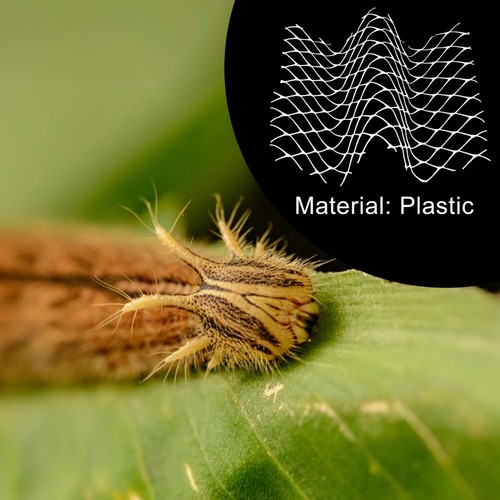 6Pcs Sericulture Nets Simple Silkworm Growing Nets Student Sericulture Netting - 第 10/12 張圖片