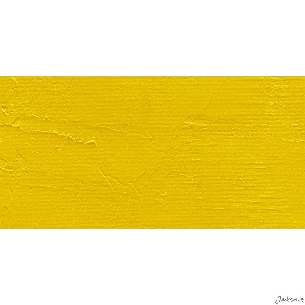 Gamblin Artists Oil Colour Paint Alkali Refined Linseed Oil 37ml Hansa Yellow...