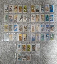 Brooke Bond vintage cards, North American Wildlife In Danger, full set 48 cards