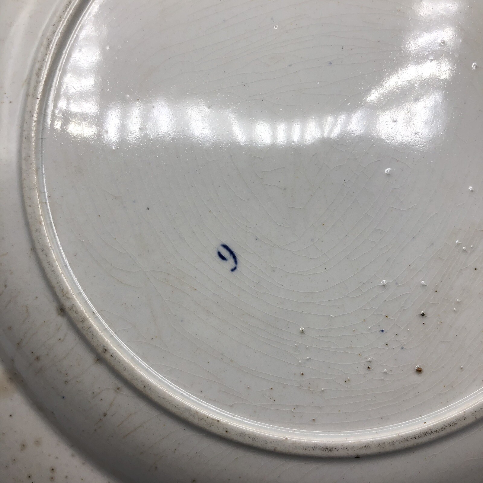 Picture 5 of 12