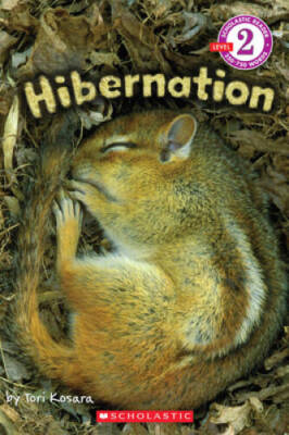 Scholastic Reader Level 2: Hibernation - Paperback By Kosara, Tori - VERY GOOD
