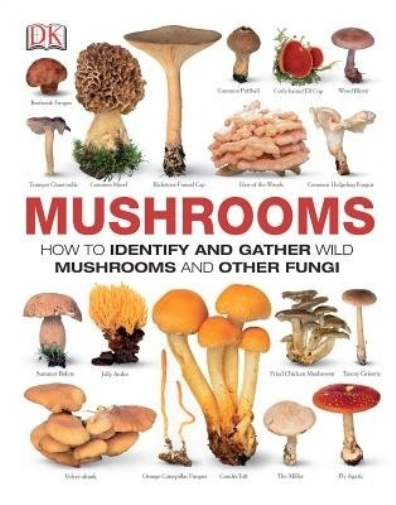 Mushrooms (Copertina rigida)