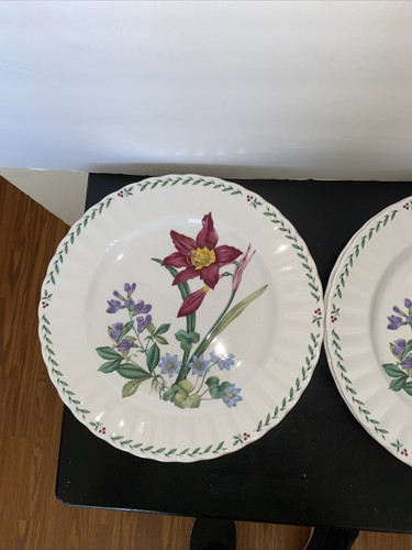 Mikasa Summer Symphony Dinner Plate 10 3/4" CAJ14 Maxima Floral Set Of 4 NEW - Picture 12 of 12