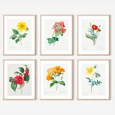 Set of 6 Pierre-Joseph Redouté ￼ ‘FLORAL ILLUSTRATION ART PRINTS Unframed A4