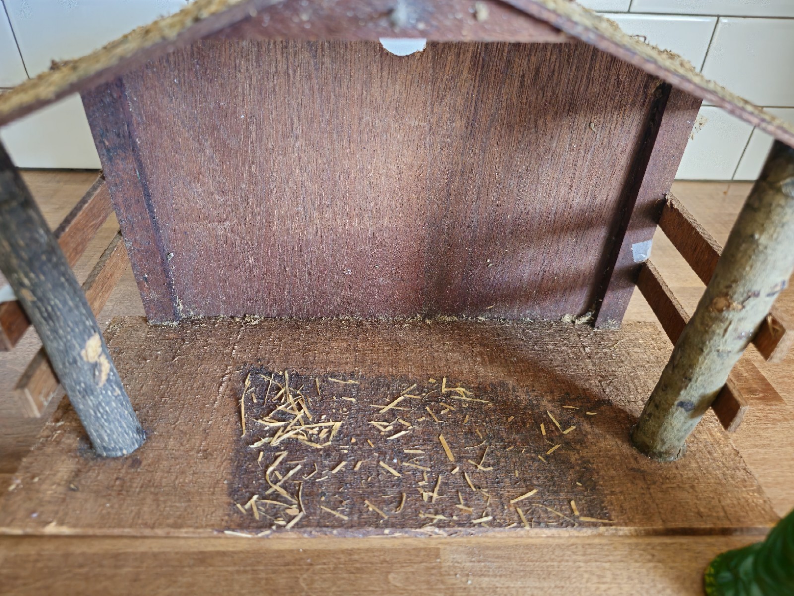 Picture 13 of 20