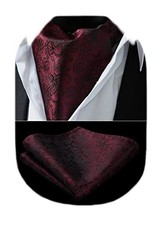 Ascot Ties for Men Paisley Floral Ascot and Pocket Square Set A10-maroon