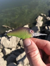 1.5 Deep Diver Custom Crankbait Purple Copper Chartreuse Colorshift