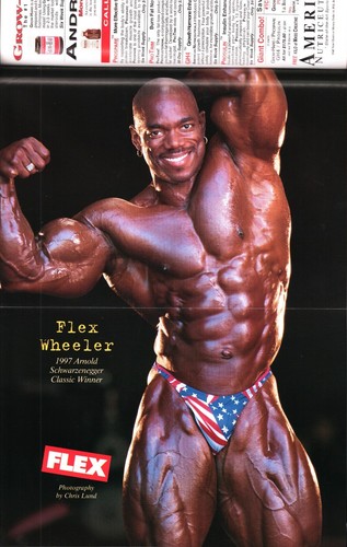 Flex Magazine 06/1997 Michelle Andrea Suzan Kaminga Yolanda Hughes Kim Chizevsky - Picture 2 of 12