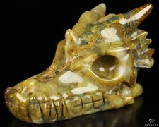 Scultura teschio drago cristallo intagliato a mano 5,0" nuova Pietersite, guarigione cristallo