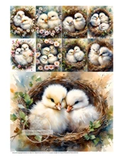 Floral Chicks | A4 Rice Paper | Paper for Decoupage | AB Studios
