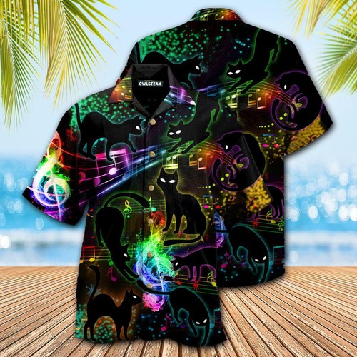 Black Cat The Magical Light Cats On 