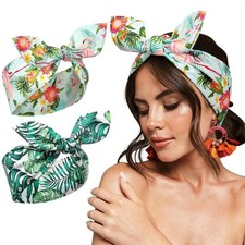 Ceenna 2 Pieces Wire Headbands for Women Beach Boho Tropical Clear,Green,Red