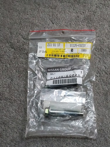 Nissan 01125 s213e